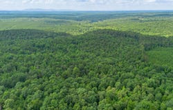 Vinyard lot: 3, Fruithurst, AL 36262