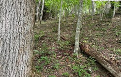 Boulder Gardens Road, Banner Elk, NC 28604