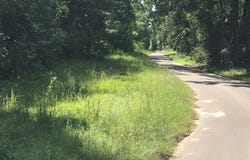 S Hwy 59, Linden, TX 75563
