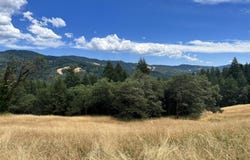 Stapp Road, Kneeland, CA 95549