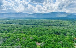 140 Mossy Hill Road, Catskill, NY 12414