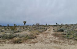 202nd St E & Ave X4, Llano, CA 93544