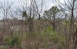 McFadden Drive lot: 40, Corbin, KY 40701