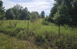 19350 BLK County Road 3233, Cushing, TX 75760