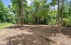 Parcel 4 Stovall Ln, Summit, MS 39666