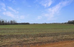 Atkins Trail, Hazel, KY 42049