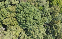 TBD England Road, Canton, NC 28716