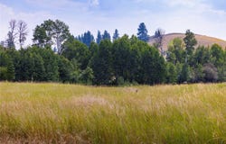 62 Heron Road, Eureka, MT 59917