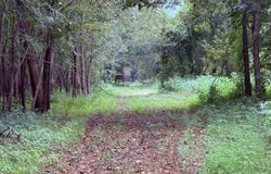 Bourke Road, Natchez, MS 39120