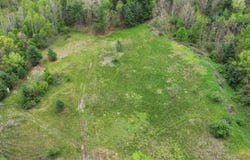 100 Polemic Run Road, Little Birch, WV 26629