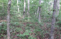 Iron Mountain RD, Mountain View, AR 72560