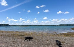 Yoho Head Road lot: 80, Machiasport, ME 04655