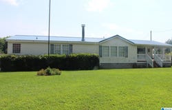 1025 LAMON CHAPEL LOOP, JASPER, AL 35503