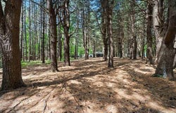 S Fenmore Road, Merrill, MI 48637