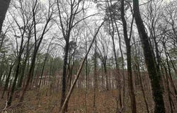 0.62 Riddles Bend Road, Rainbow City, AL 35906