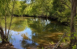 Tract C2-1 County Road 1140, Celeste, TX 75423