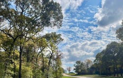 009 County Rd 242, Oakwood, TX 75855