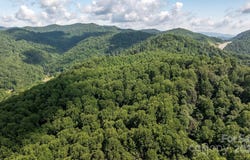 1710 Roaring Fork Road, Mars Hill, NC 28754