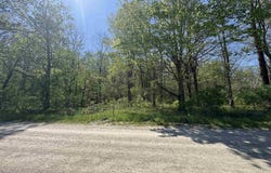 W Cleveland Road, South Whitley, IN 46787