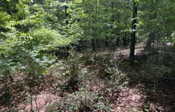 River Mountain Road lot: 96, Murphy, NC 28906