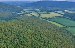 26 Acres Co Rd 170, Stevenson, AL 35772