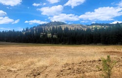34XX NORTHPORT FLAT CREEK RD, KETTLE FALLS, WA 99141