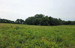 14601 E Loyola, Mount Vernon, IL 62864