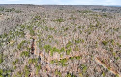 Tall Tree Trail lot: 406, Dunlap, TN 37327