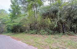 R008027 County Road 20, Jasper, TX 75951