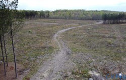 27318 Prince Edward Highway, Rice, VA 23966