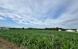 N County Rd 650 E, BATESVILLE IN, IN 47006