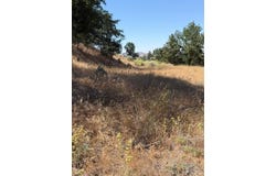 William Tell Trail, Tehachapi, CA 93561