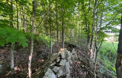 Austin Road #2, Antwerp, NY 13608