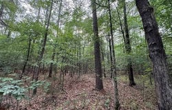 Airport Rd, Bastrop, LA 71220