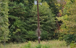 Ferguson Road, Harleton, TX 75651