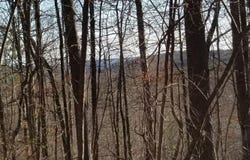 Palmer Firetower Road, Whitwell, TN 37397