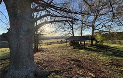 1160 AL HIGHWAY 77, ROANOKE, AL 36274