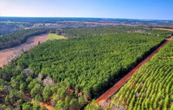 Old Thomson Road, Wrens, GA 30833