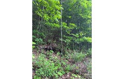 Shagbark Dr lot: 80, Sylva, NC 28779