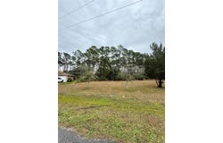 245 ULLIAN Trail, PALM COAST, FL 32164