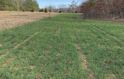BRUCE Rd, Whiteville, TN 38075