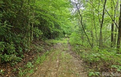 Seasons Drive lot: 43, Clyde, NC 28721