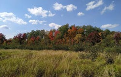 56723 Duncan Road, Sandstone, MN 55072