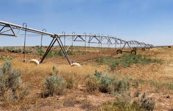 Road FF, Pleasant View, CO 81331