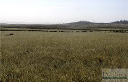 NHN Lindstrom Road, Shepherd, MT 59079