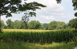P Drive S (parcel 4), Burlington, MI 49029