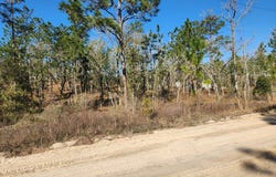SE 148th Ave, Williston, FL 32696