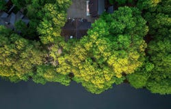 1486 Yellow Hammer Trl, Hochatown, AR 74728