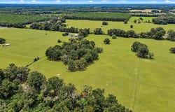 7590 NW 75th St, Chiefland, FL 32626