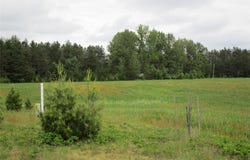 River Pine Drive, Ladysmith, WI 54848